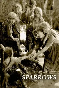 Poster to the movie "Sparrows" #976940