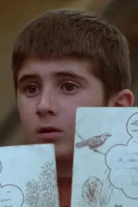 Poster to the movie "Where Is My Friend
