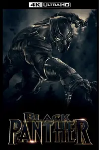 Poster to the movie "Black Panther" #929388