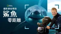 Backdrop to the movie "Sharks Up Close with Bertie Gregory" #802085