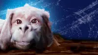 Backdrop to the movie "The NeverEnding Story" #666736