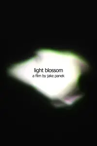 Poster to the movie "light blossom" #806232