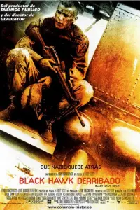 Poster to the movie "Black Hawk Down" #930540
