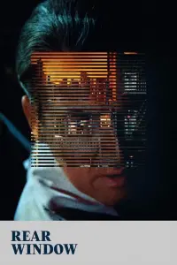 Poster to the movie "Rear Window" #597057