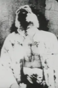 Poster to the movie "Begotten" #658978