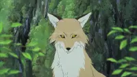 Backdrop to the movie "Wolf Children" #735280