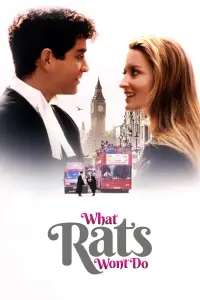 Poster to the movie "What Rats Won