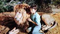 Backdrop to the movie "The Lion" #866230