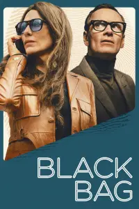 Poster to the movie "Black Bag" #903978