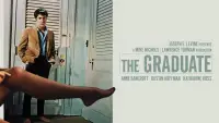Backdrop to the movie "The Graduate" #932447