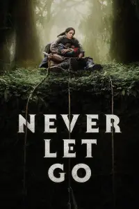 Poster to the movie "Never Let Go" #941352