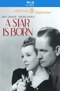 Poster to the movie "A Star Is Born" #993069