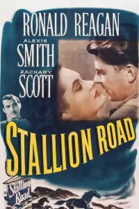 Poster to the movie "Stallion Road" #1171320