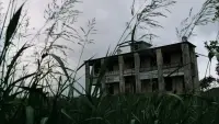 Backdrop to the movie "The Texas Chainsaw Massacre" #884125