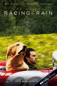 Poster to the movie "The Art of Racing in the Rain" #983625