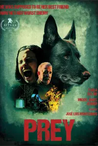 Poster to the movie "Prey" #1092700