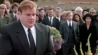 Backdrop to the movie "Tommy Boy" #755268