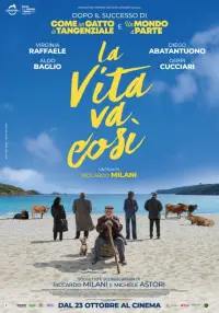 Poster to the movie "La vita va così" #896568