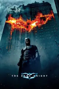 Poster to the movie "The Dark Knight" #900270