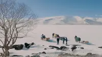 Backdrop to the movie "Red Snow" #841636
