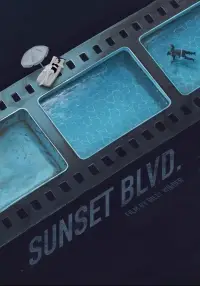 Poster to the movie "Sunset Boulevard" #867856