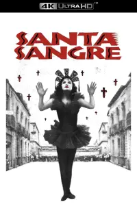 Poster to the movie "Santa Sangre" #973532