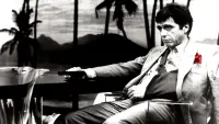 Backdrop to the movie "Scarface" #868476