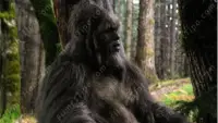 Backdrop to the movie "Sasquatch" #880730