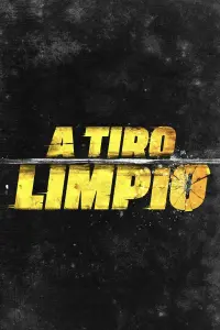 Poster to the movie "A tiro limpio" #724666