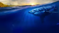 Backdrop to the movie "Maui Shark Mystery" #849990