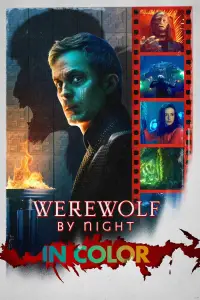 Poster to the movie "Werewolf by Night" #688137