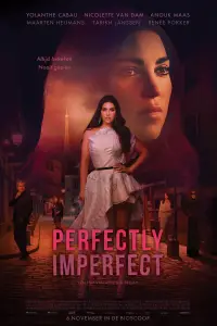Poster to the movie "Perfectly Imperfect" #693291