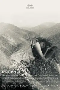 Poster to the movie "Memoria" #772949