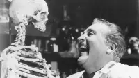 Backdrop to the movie "The Skeleton of Mrs. Morales" #892123