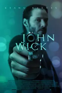 Poster to the movie "John Wick" #903214