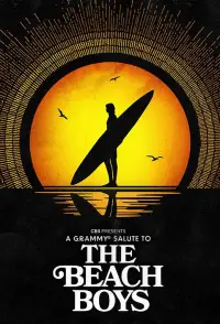 Poster to the movie "A Grammy Salute to The Beach Boys" #1149787