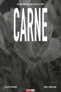 Poster to the movie "CARNE" #806637