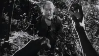 Backdrop to the movie "Rashomon" #822932