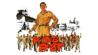 Backdrop to the movie "King Rat" #744373