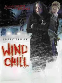 Poster to the movie "Wind Chill" #993315