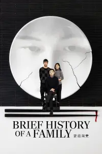 Poster to the movie "Brief History of a Family" #911692