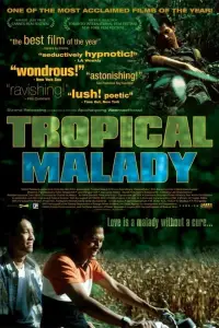 Poster to the movie "Tropical Malady" #1088849