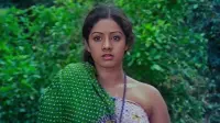 Backdrop to the movie "Kalyanaraman" #854851