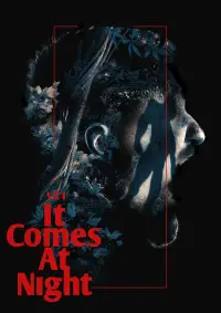 Poster to the movie "It Comes at Night" #952552