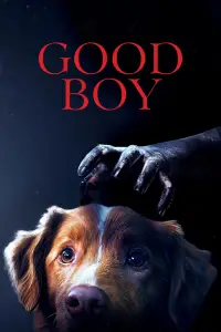 Poster to the movie "Good Boy" #899267