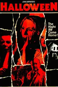Poster to the movie "Halloween" #802695