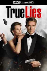 Poster to the movie "True Lies" #935700