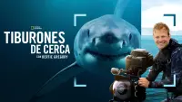 Backdrop to the movie "Sharks Up Close with Bertie Gregory" #802095