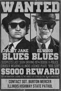 Poster to the movie "The Blues Brothers" #928524