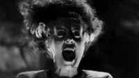 Backdrop to the movie "The Bride of Frankenstein" #809028
